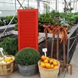Catalpa Grove Farm photo