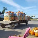 Catalpa Grove Farm photo
