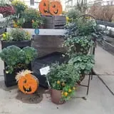 Catalpa Grove Farm photo