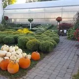 Catalpa Grove Farm photo