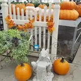 Catalpa Grove Farm photo