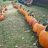 Catalpa Grove Farm photo