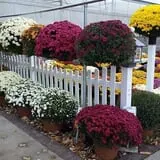 Catalpa Grove Farm photo