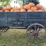 Catalpa Grove Farm photo