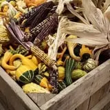 Catalpa Grove Farm photo