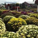 Catalpa Grove Farm photo