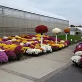 Catalpa Grove Farm photo