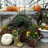 Catalpa Grove Farm photo