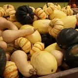 Catalpa Grove Farm photo