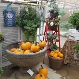 Catalpa Grove Farm photo