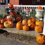 Catalpa Grove Farm photo