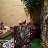 Ozark Escape Room Fayetteville photo
