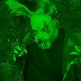 Come play with Jack