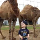 Big Joel Safari Petting Zoo & Educational Park photo