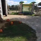 Big Joel Safari Petting Zoo & Educational Park photo