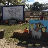 Big Joel Safari Petting Zoo & Educational Park photo