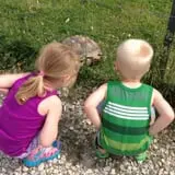 Big Joel Safari Petting Zoo & Educational Park photo