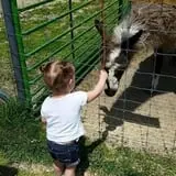 Big Joel Safari Petting Zoo & Educational Park photo
