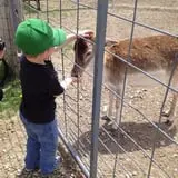 Big Joel Safari Petting Zoo & Educational Park photo