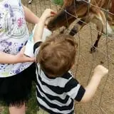 Big Joel Safari Petting Zoo & Educational Park photo