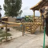Big Joel Safari Petting Zoo & Educational Park photo