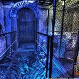 Bates Motel & Haunted Hayride photo