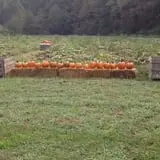 Red Apple Barn & Pumpkin Patch photo