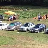 Red Apple Barn & Pumpkin Patch photo