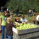 Red Apple Barn & Pumpkin Patch photo