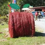 Red Apple Barn & Pumpkin Patch photo