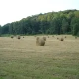 Red Apple Barn & Pumpkin Patch photo