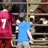 Red Apple Barn & Pumpkin Patch photo