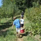 Red Apple Barn & Pumpkin Patch photo