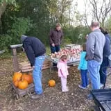 Knapton's Raspberries, Pumpkins & Orchard photo