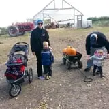 Knapton's Raspberries, Pumpkins & Orchard photo