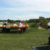 Knapton's Raspberries, Pumpkins & Orchard photo
