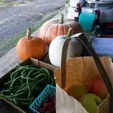 Knapton's Raspberries, Pumpkins & Orchard photo