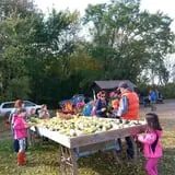 Knapton's Raspberries, Pumpkins & Orchard photo
