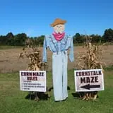 Cicero Pumkin Patch photo