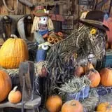 Cicero Pumkin Patch photo