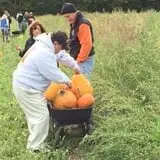 Cicero Pumkin Patch photo