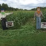 Cicero Pumkin Patch photo