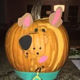 Cicero Pumkin Patch photo