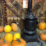 Cicero Pumkin Patch photo