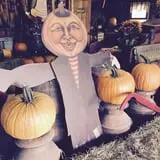 Cicero Pumkin Patch photo