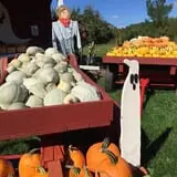 Cicero Pumkin Patch photo