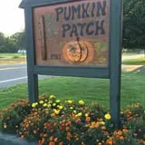 Cicero Pumkin Patch photo