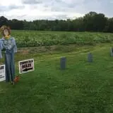 Cicero Pumkin Patch photo