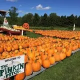 Cicero Pumkin Patch photo