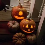 Cicero Pumkin Patch photo